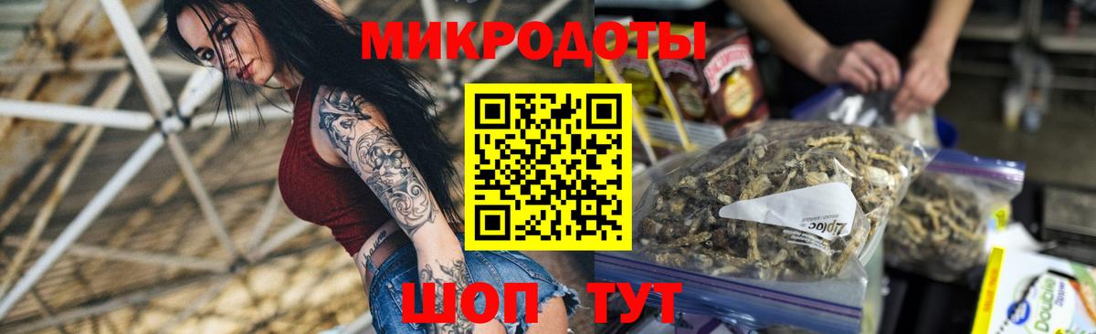 Псилоцибиновые грибы мицелий Павлово